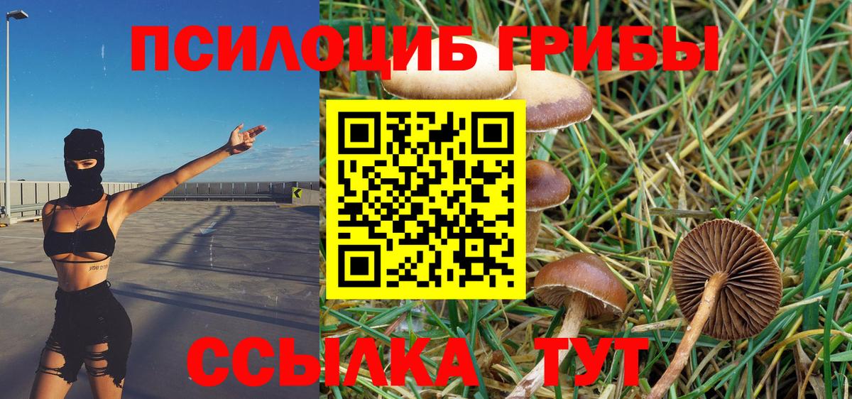Калуга  купить наркоту  Псилоцибиновые грибы Cubensis  Вход с VPN  Галлюциногенные грибы мухоморы 